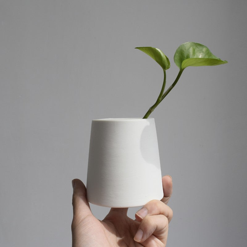 White ceramic green plants