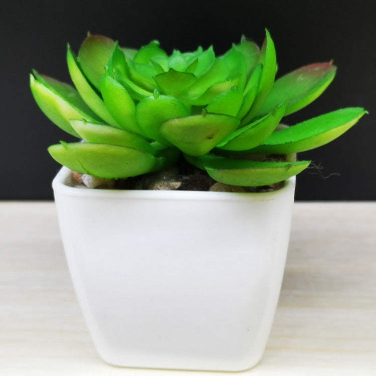 Artificial Succulent Plastic Plant Mini Potted Desktop Decoration