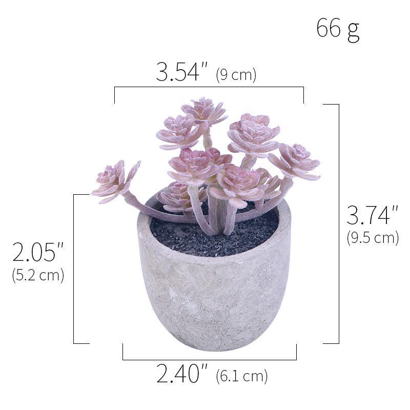 Simulation Of Succulent Potted Plants