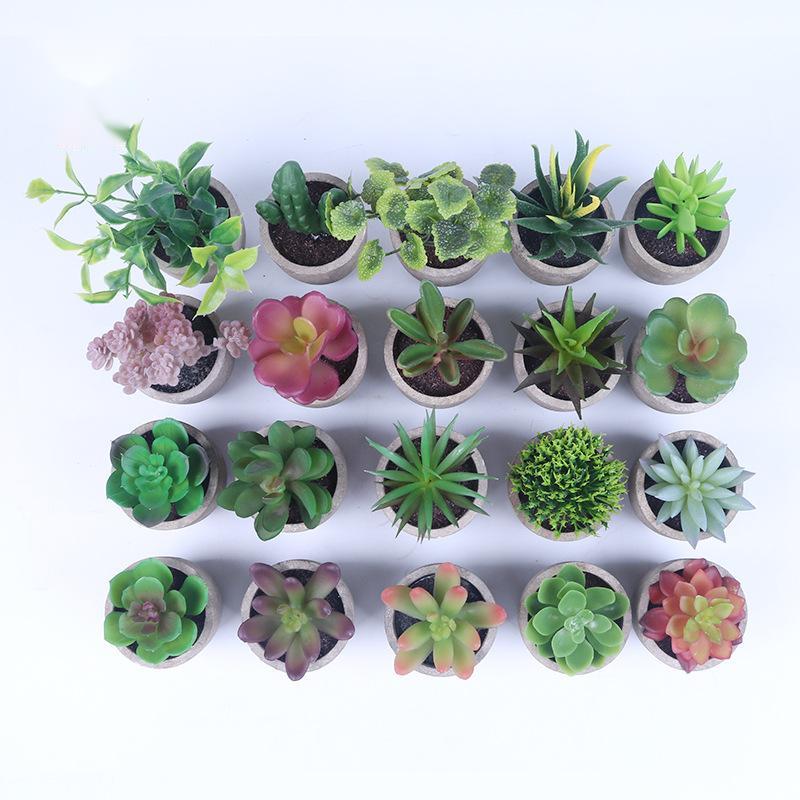 Simulation Of Succulent Potted Plants