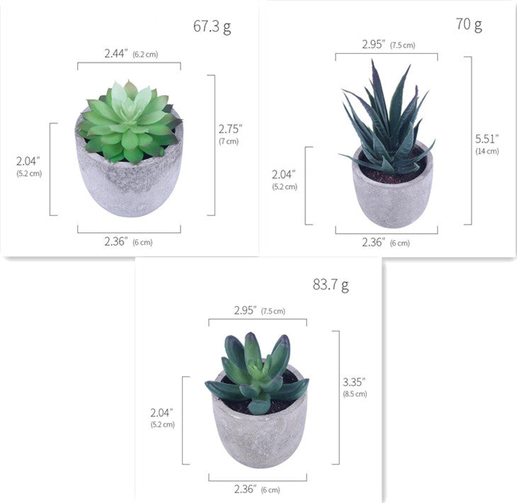 Simulation Of Succulent Potted Plants