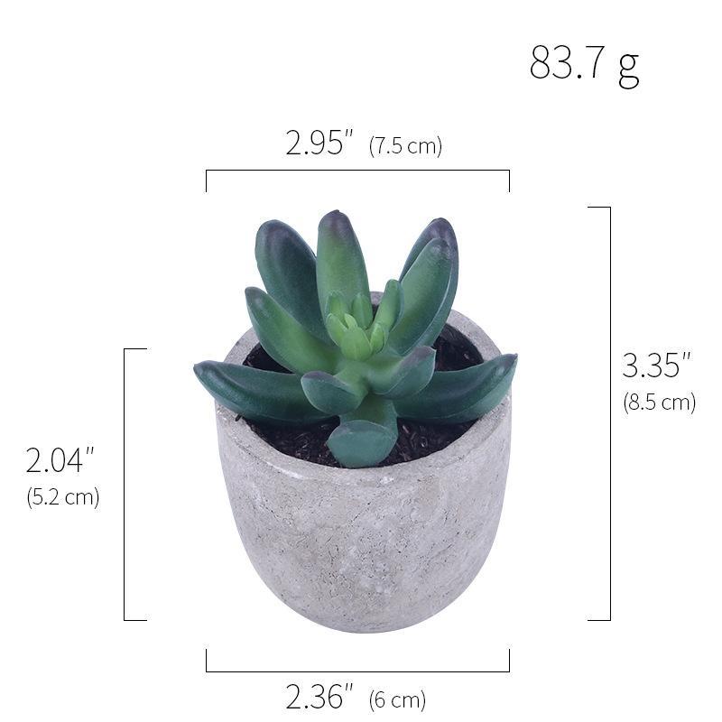 Simulation Of Succulent Potted Plants