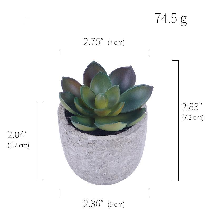 Simulation Of Succulent Potted Plants