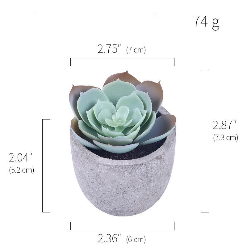 Simulation Of Succulent Potted Plants