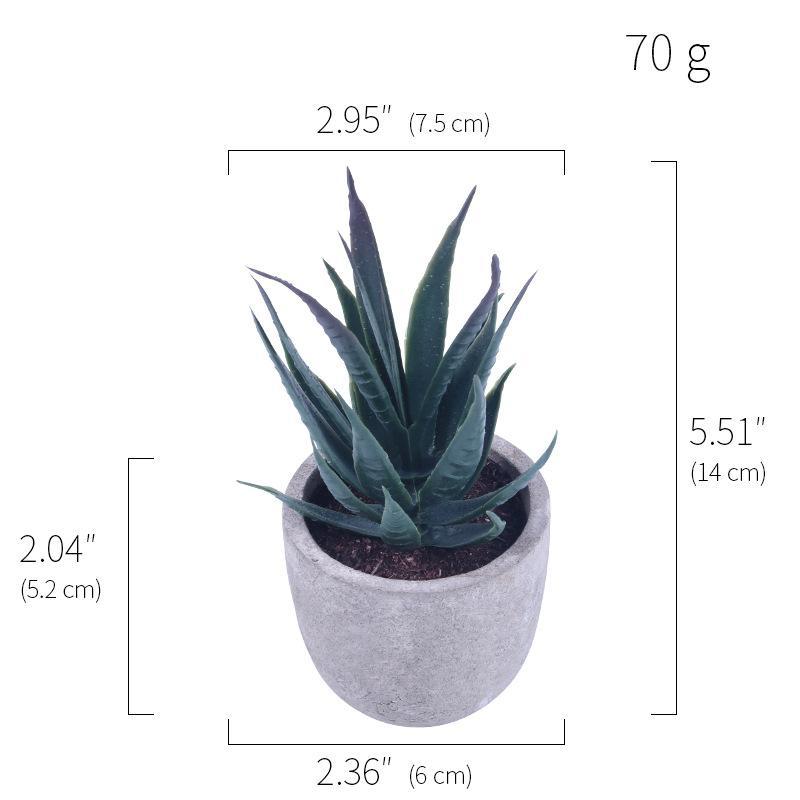 Simulation Of Succulent Potted Plants