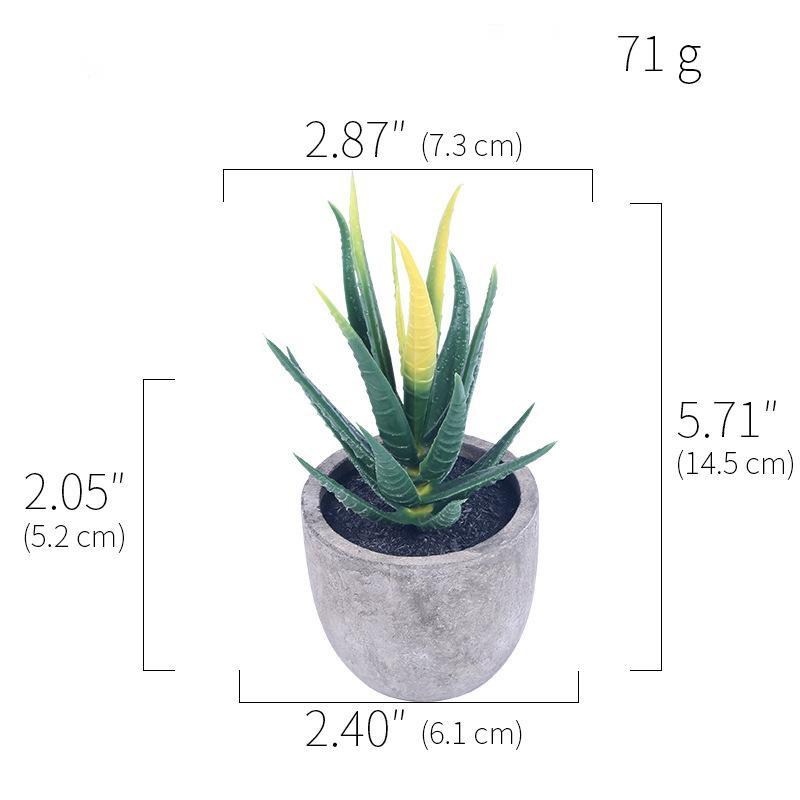 Simulation Of Succulent Potted Plants