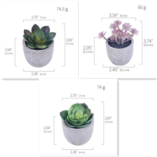 Simulation Of Succulent Potted Plants