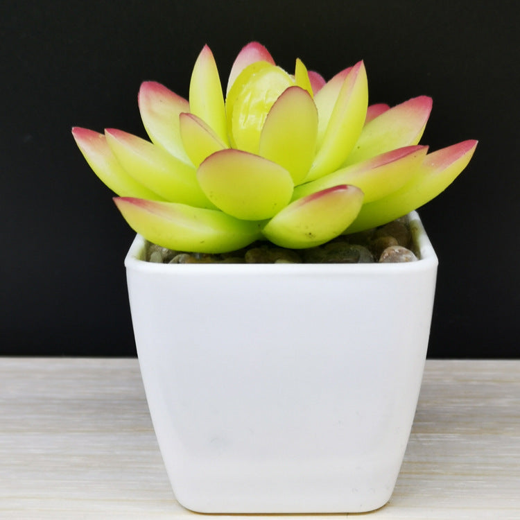 Artificial Succulent Plastic Plant Mini Potted Desktop Decoration