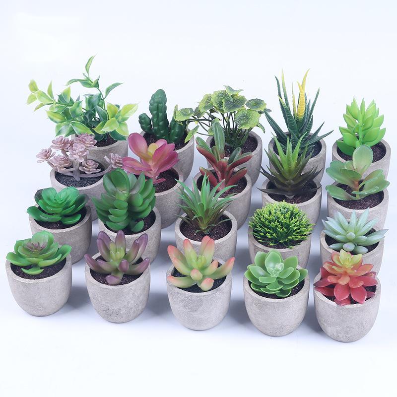 Simulation Of Succulent Potted Plants