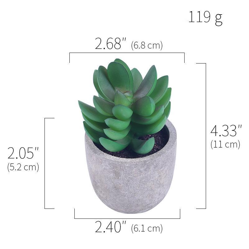 Simulation Of Succulent Potted Plants