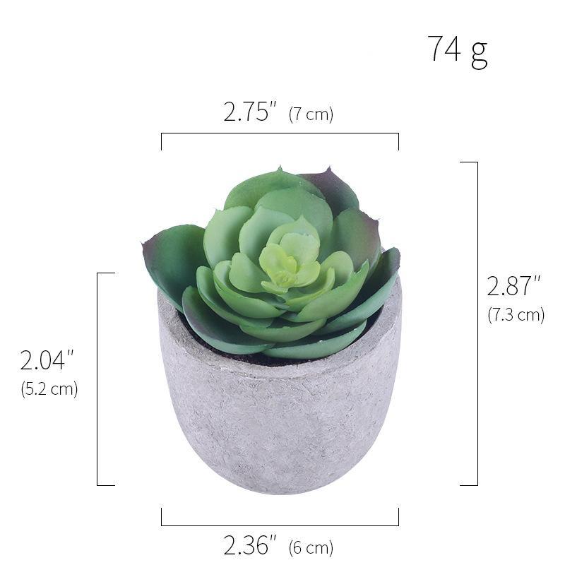 Simulation Of Succulent Potted Plants