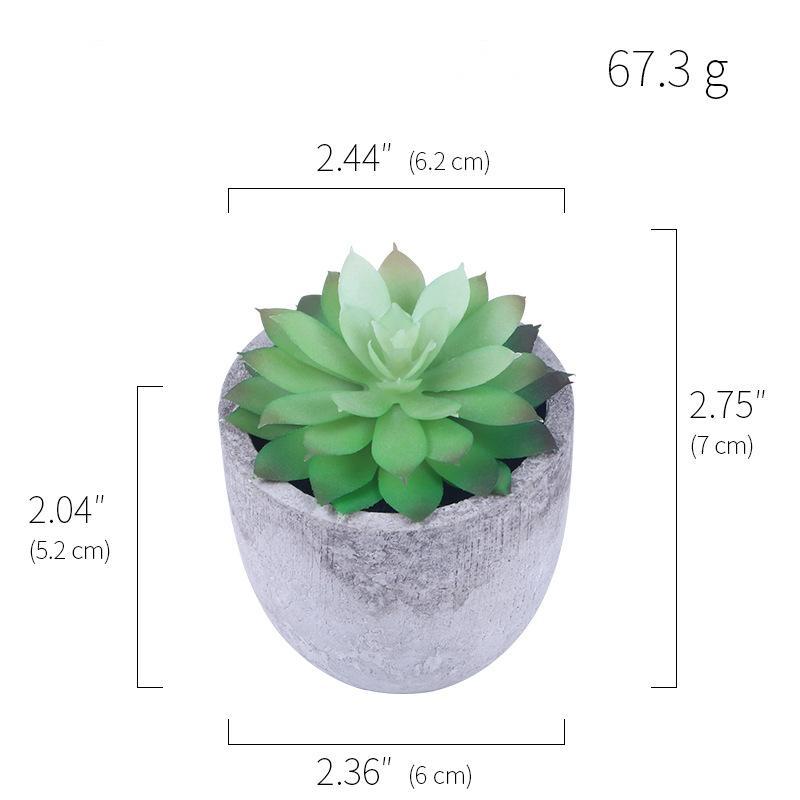 Simulation Of Succulent Potted Plants