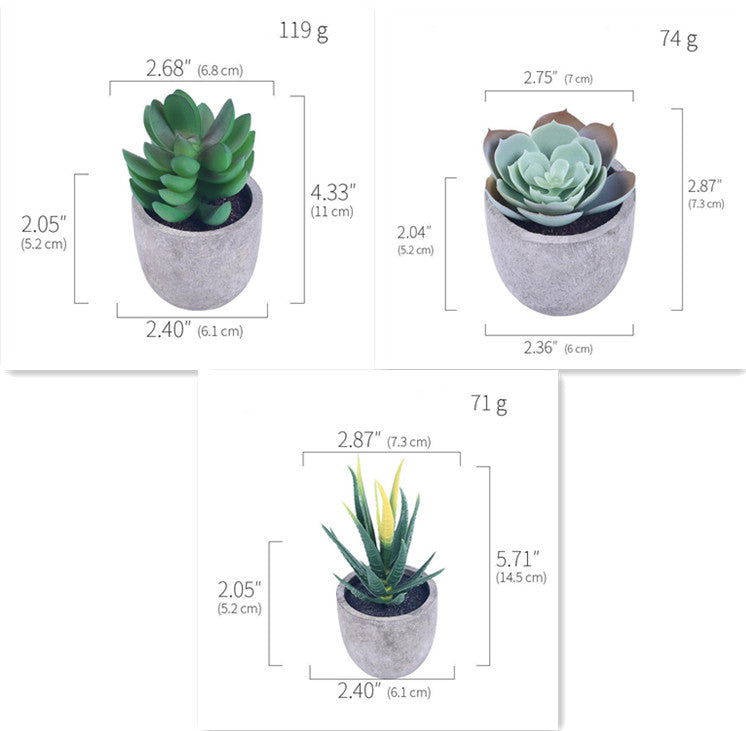 Simulation Of Succulent Potted Plants