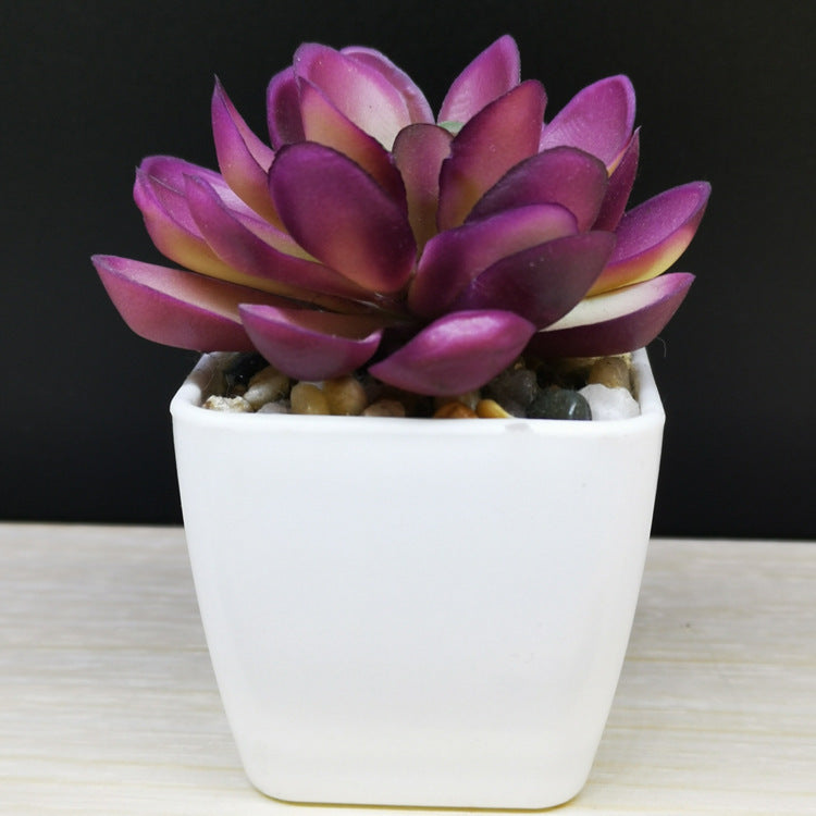 Artificial Succulent Plastic Plant Mini Potted Desktop Decoration